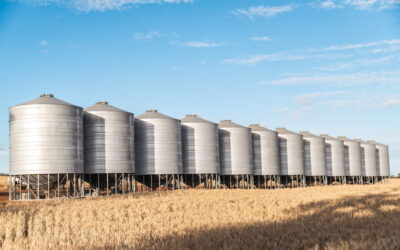 Containerised grain exporters feeling the squeeze